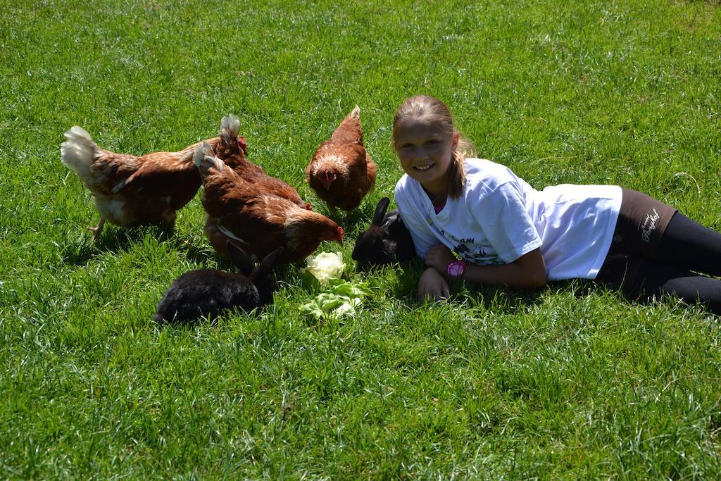 Feriendorf Ponyhof Fusch an der Grossglocknerstrasse Dış mekan fotoğraf