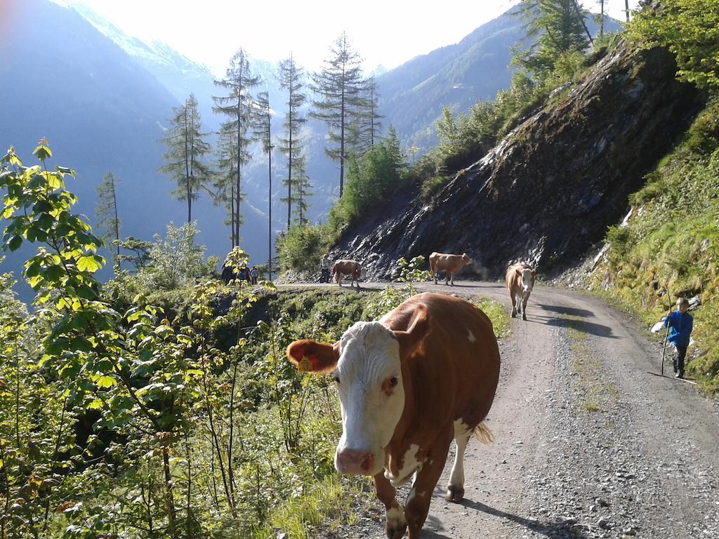 Feriendorf Ponyhof Otel Fusch an der Grossglocknerstrasse Dış mekan fotoğraf