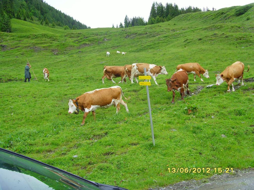 Feriendorf Ponyhof Otel Fusch an der Grossglocknerstrasse Dış mekan fotoğraf